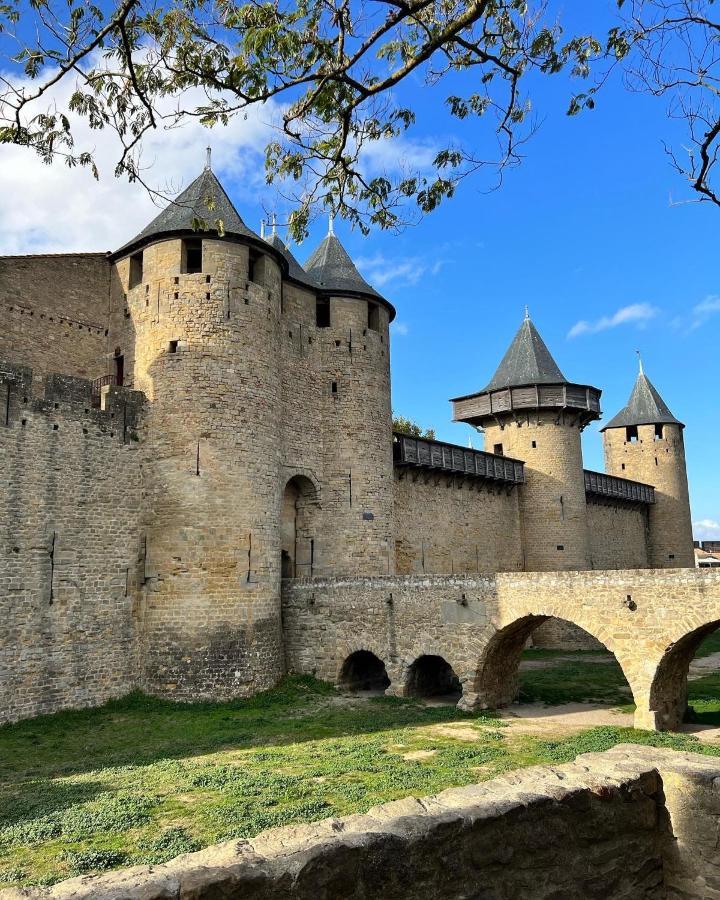 Le Studio Hyper-Centre Carcassonne Bagian luar foto