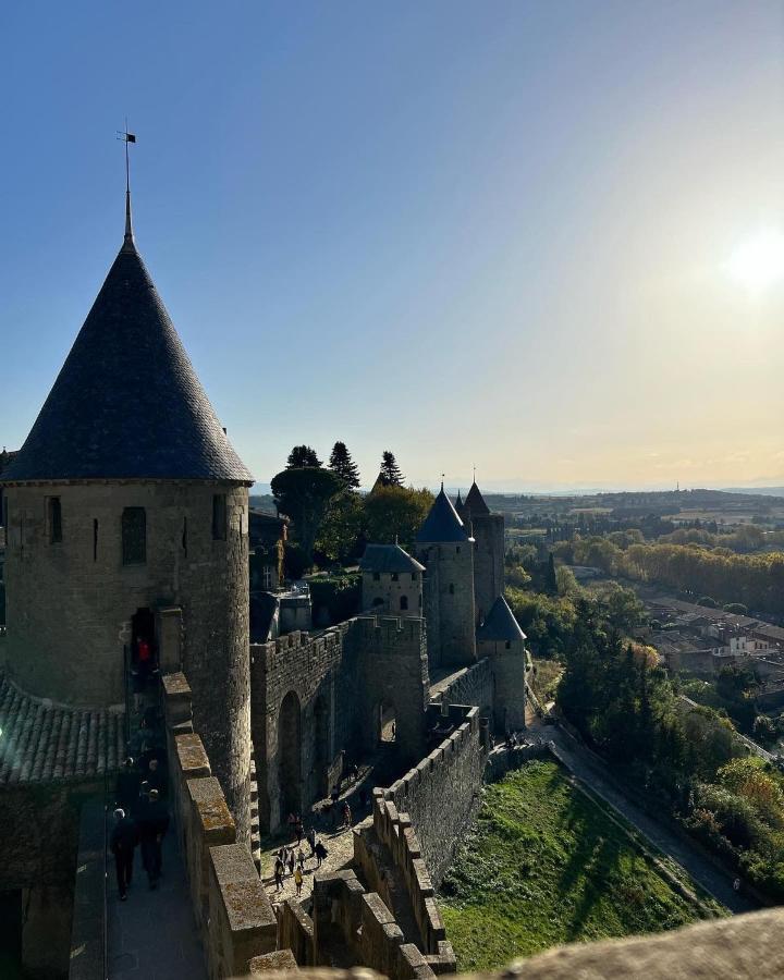 Le Studio Hyper-Centre Carcassonne Bagian luar foto